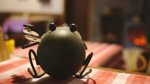 Frosch | Naturfreundehaus Billtalhöhe | Waldgaststätte | Königstein im Taunus