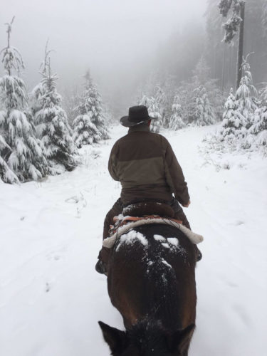 Winter auf dem Pferd | Naturfreundehaus Billtalhöhe | Waldgaststätte | Königstein im Taunus