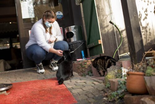 Viviene mit Katze