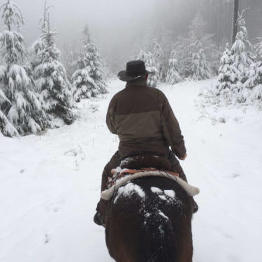 Winter auf dem Pferd | Naturfreundehaus Billtalhöhe | Waldgaststätte | Königstein im Taunus